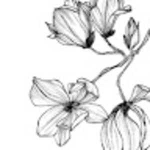 Meet your Posher, Marilyn